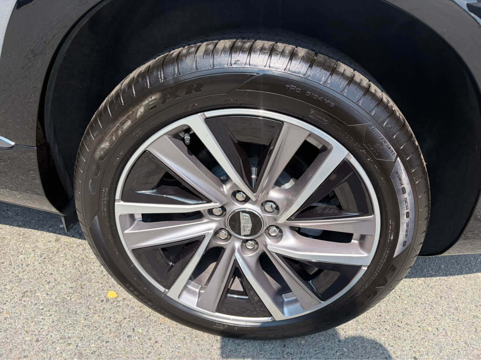 2026 Cadillac VISTIQ Sport
