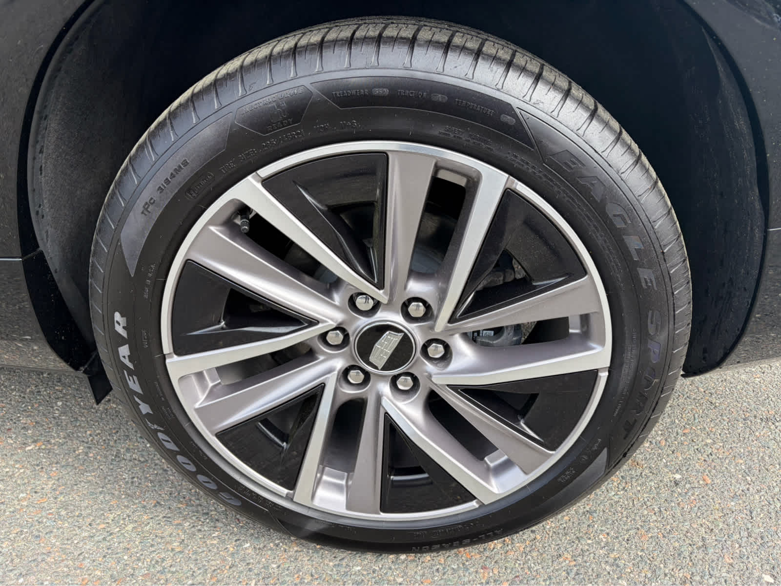 2026 Cadillac VISTIQ Sport