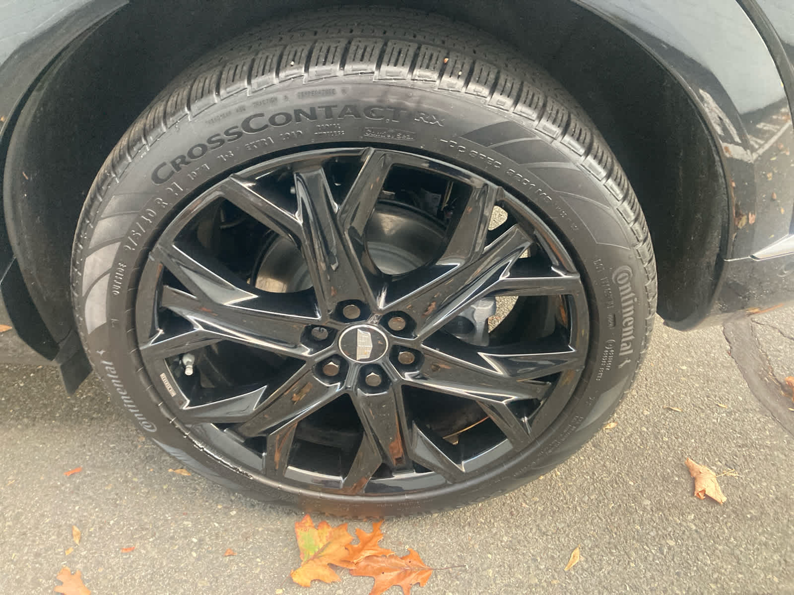 2025 Cadillac OPTIQ Luxury 2